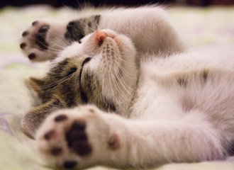 アルベルト アインシュタインから娘への手紙 の新着タグ記事一覧 Note つくる つながる とどける