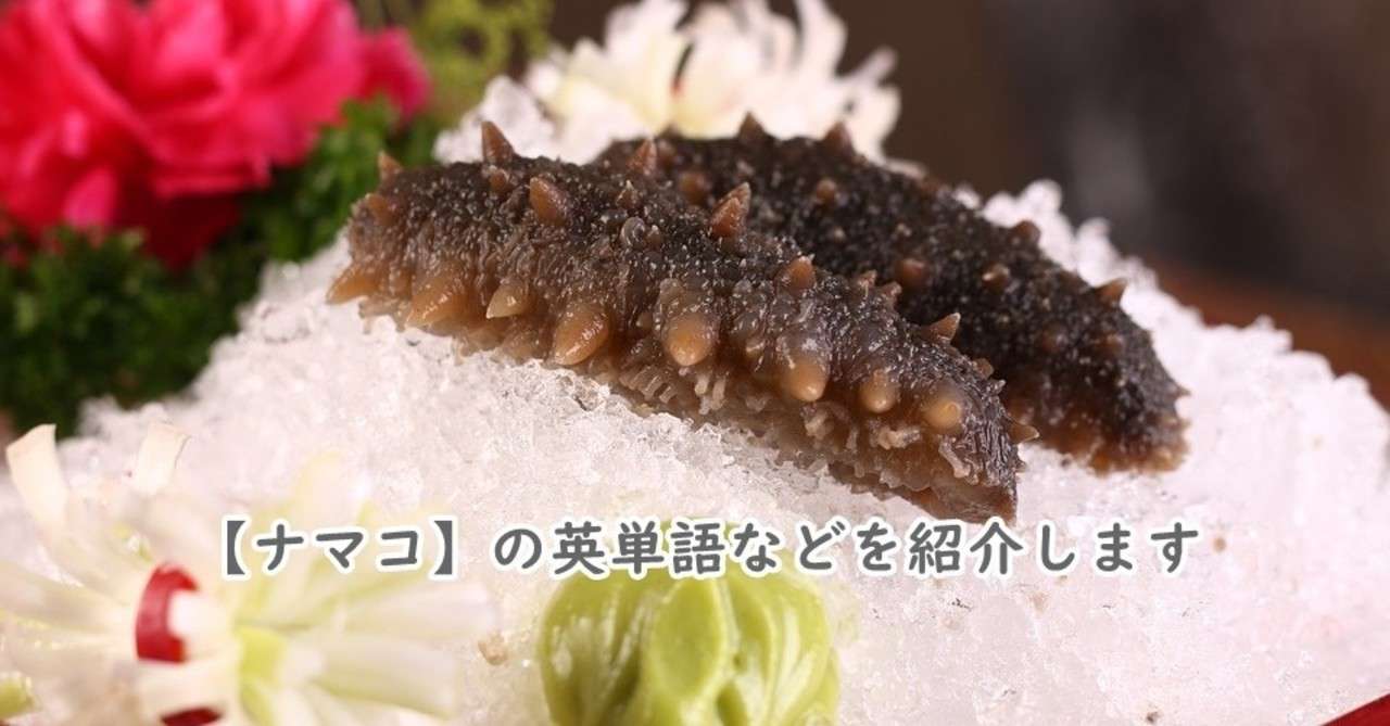 魚介類 ナマコ の英単語 特徴などを紹介します きむっち Note