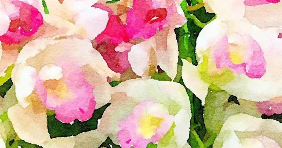 ミラコスタでプロポーズ 準備 当日編 Thomas Suzuki Note