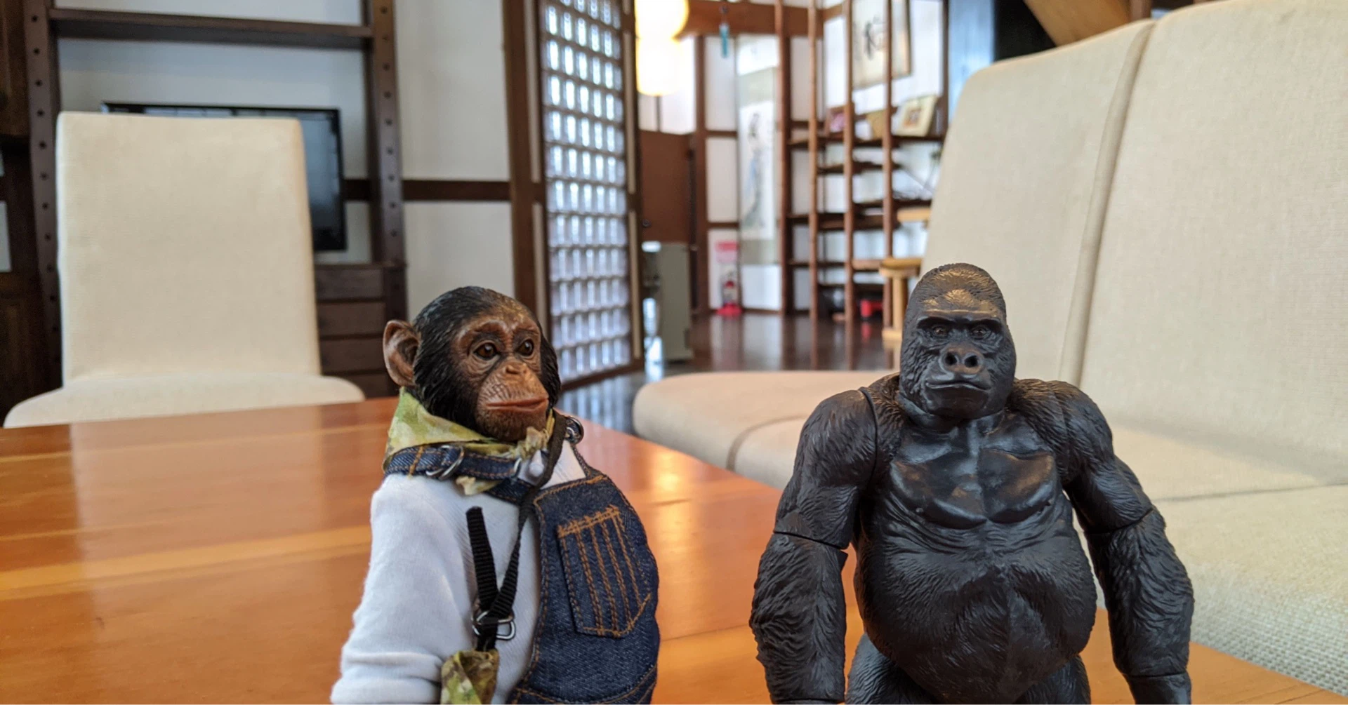 gorillaz555｜note