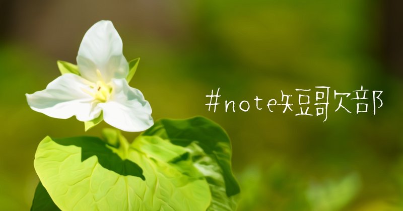 延齢草 の新着タグ記事一覧 Note つくる つながる とどける
