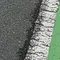うろ