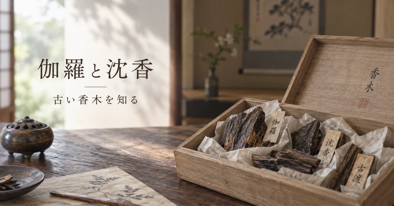 伽羅と沈香はなぜ特別なのか｜古い香木を整理する前に知りたいこと