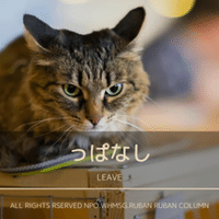産前産後の恥骨痛 Ruban Column Note 産前産後の恥骨痛 Ruban Column Note