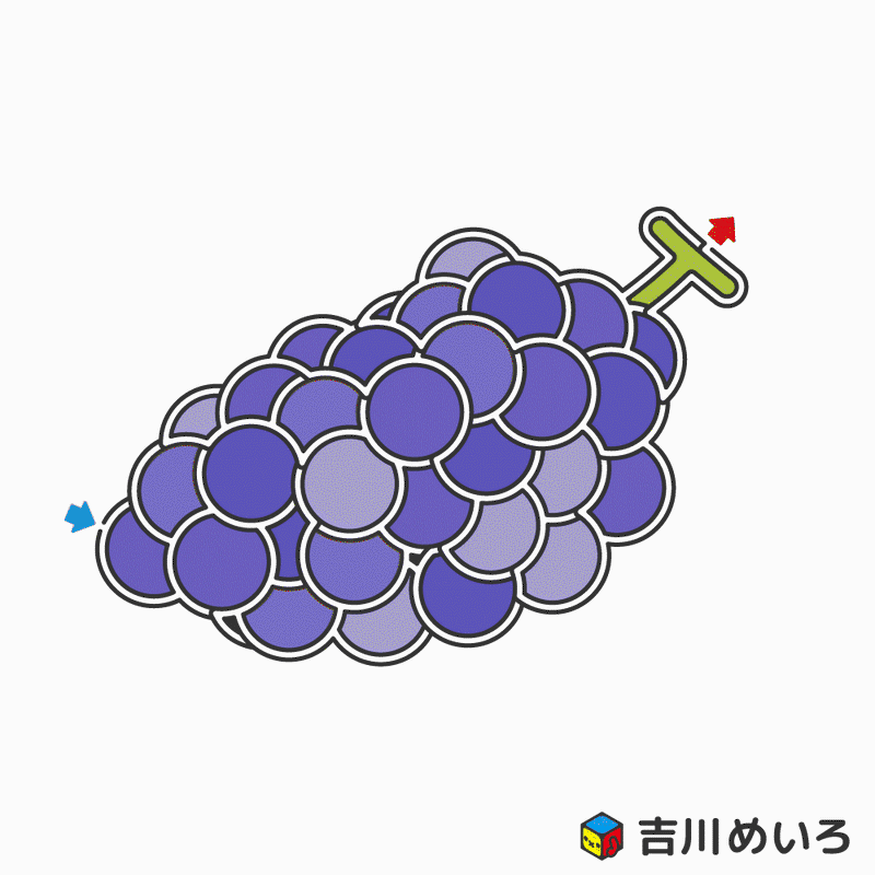 ぶどうのぬりめいろ 吉川めいろ Meiro Yoshikawa Note