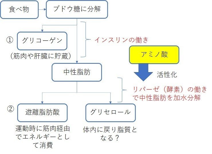 50代からの肉体改造 ８ サプリ編 海老輔屋 Note