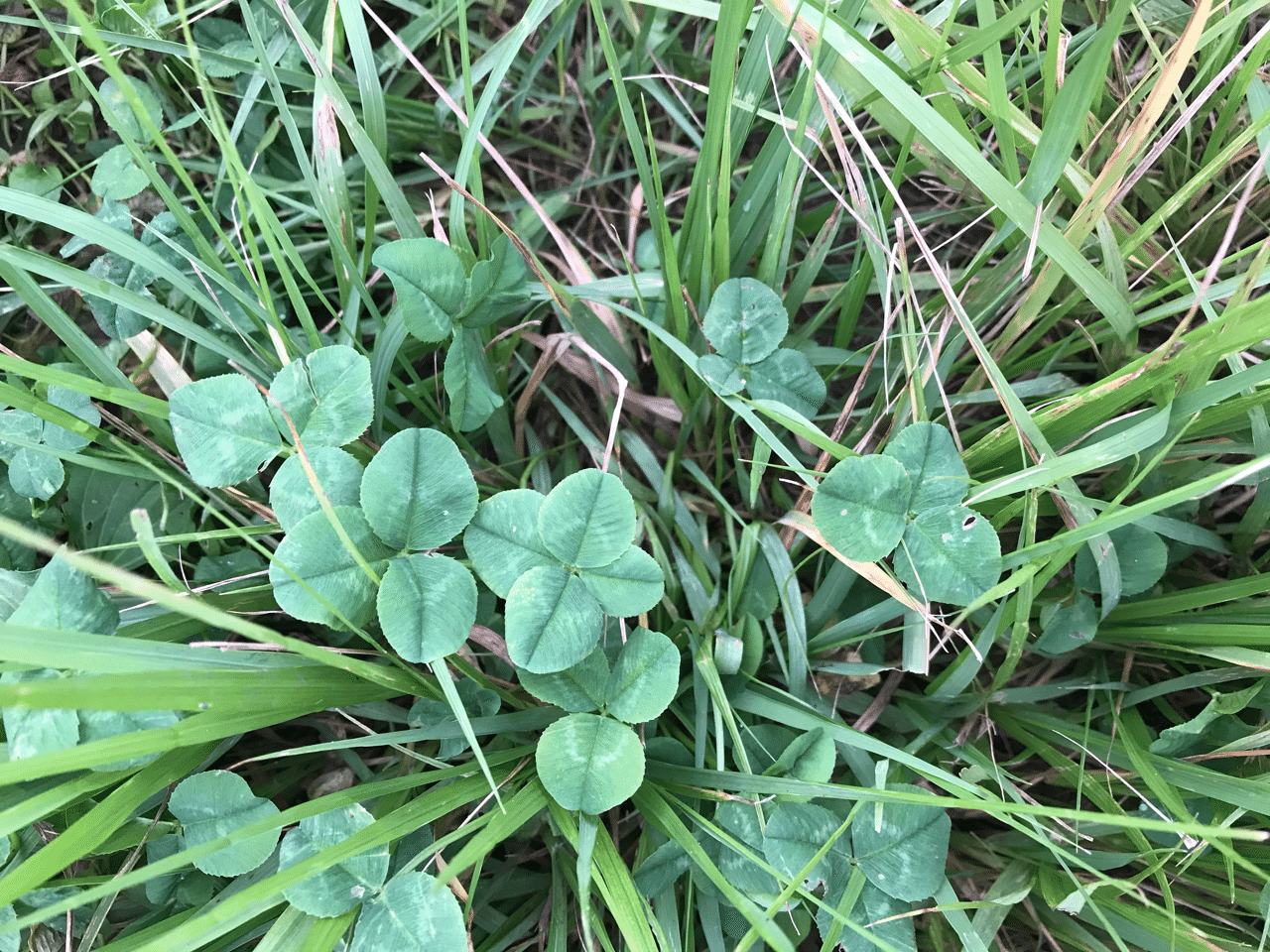 1aba5c5bb44f6b3c74d29da1c470e7