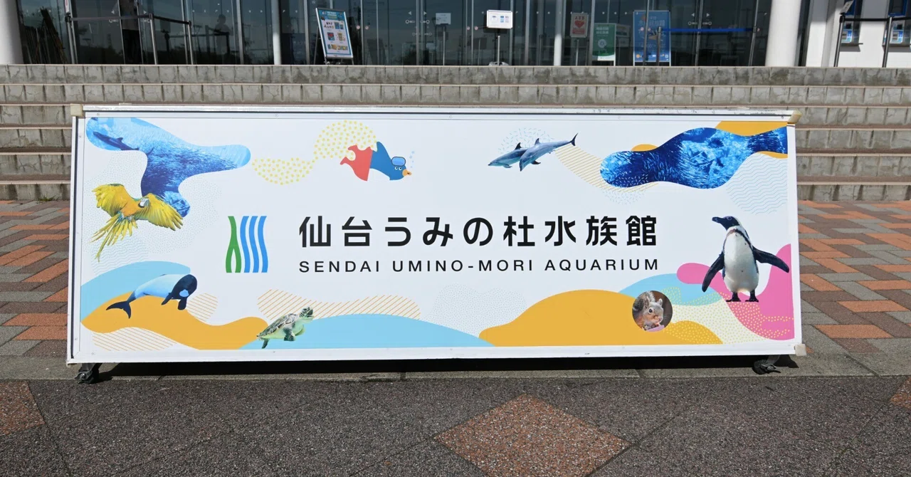 20260905_仙台うみの杜水族館【Nikon Z50IIと水族館をもう一度】｜山ネズミ