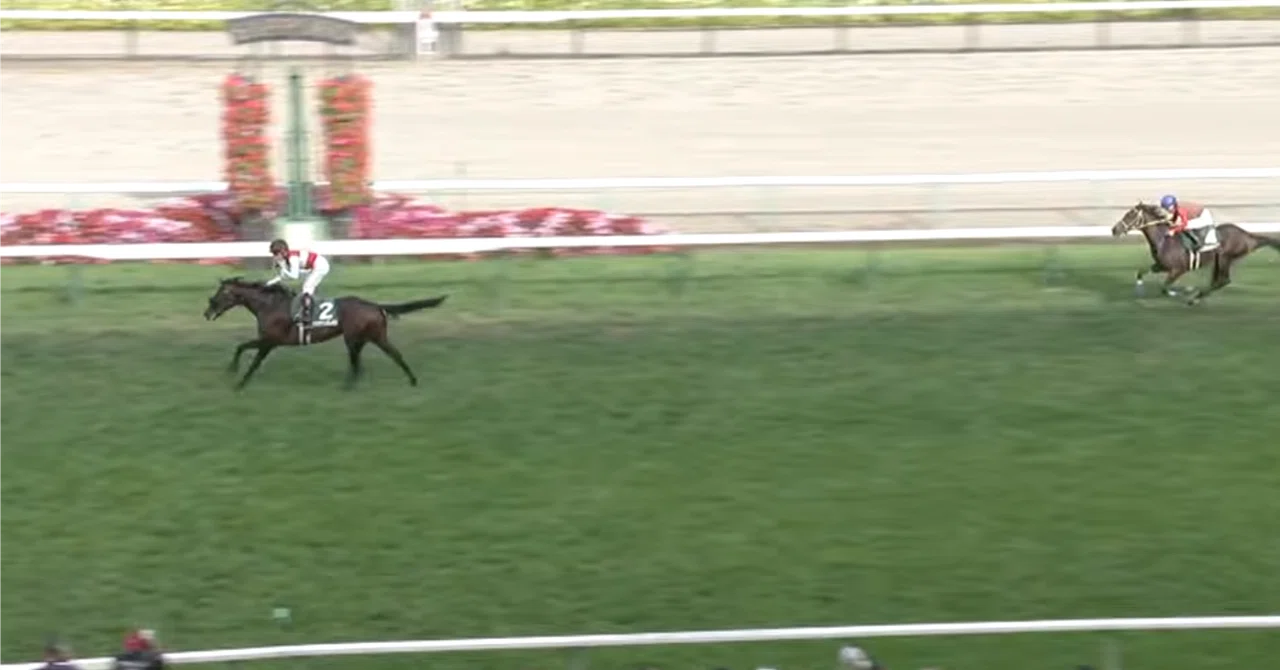 2歳芝重賞を0.6秒差以上で勝った馬の将来性｜ぱねす