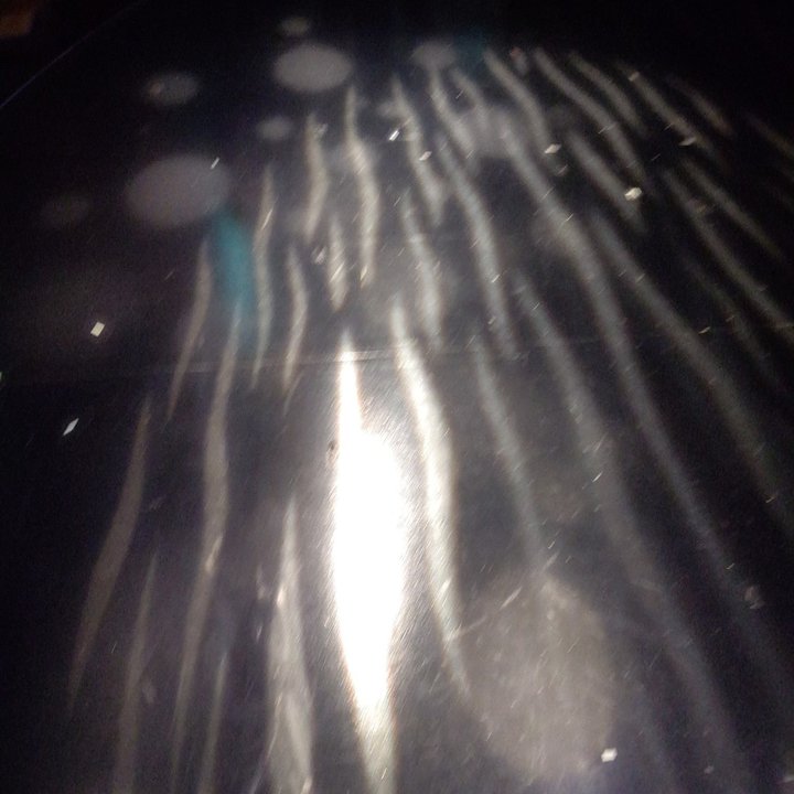 コントライブ「ほんのり海の日」の次の日｜男性ブランコ平井まさあき