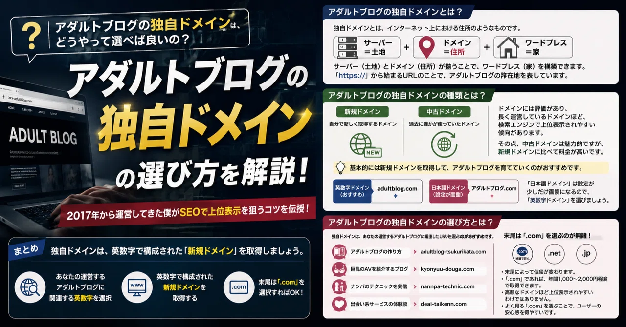 アダルトブログの独自ドメインの選び方【SEOで上位表示を狙おう】