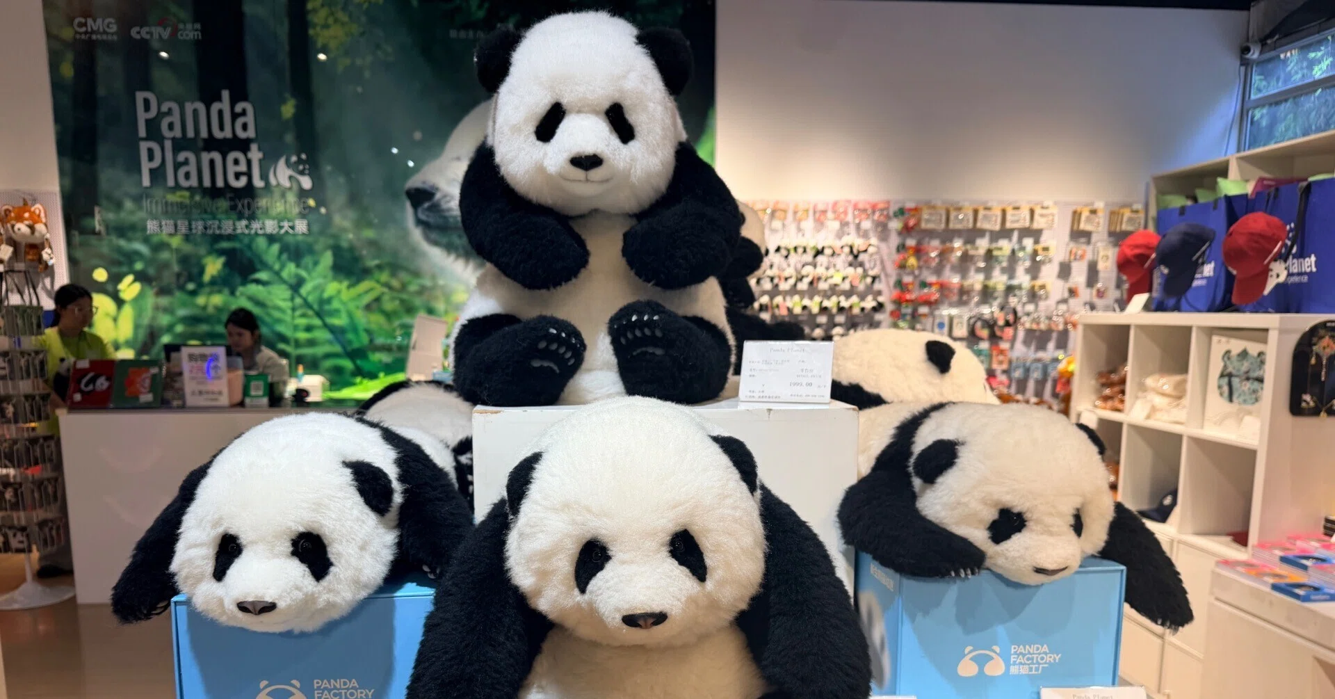 旅行と買い物好きパンダページ 初めての海外旅行🇨🇳🐼⑤お金編｜あちな*