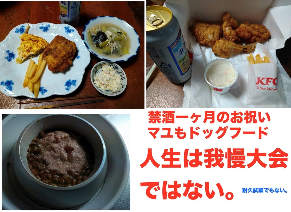画像27