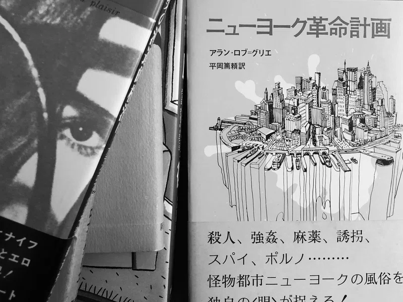 幻影の小説 あるいは小説の幻影 アラン ロブ グリエについて 早稲田松竹に捧ぐ 高寺あずま Note
