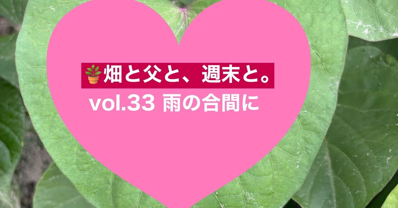 見出し画像