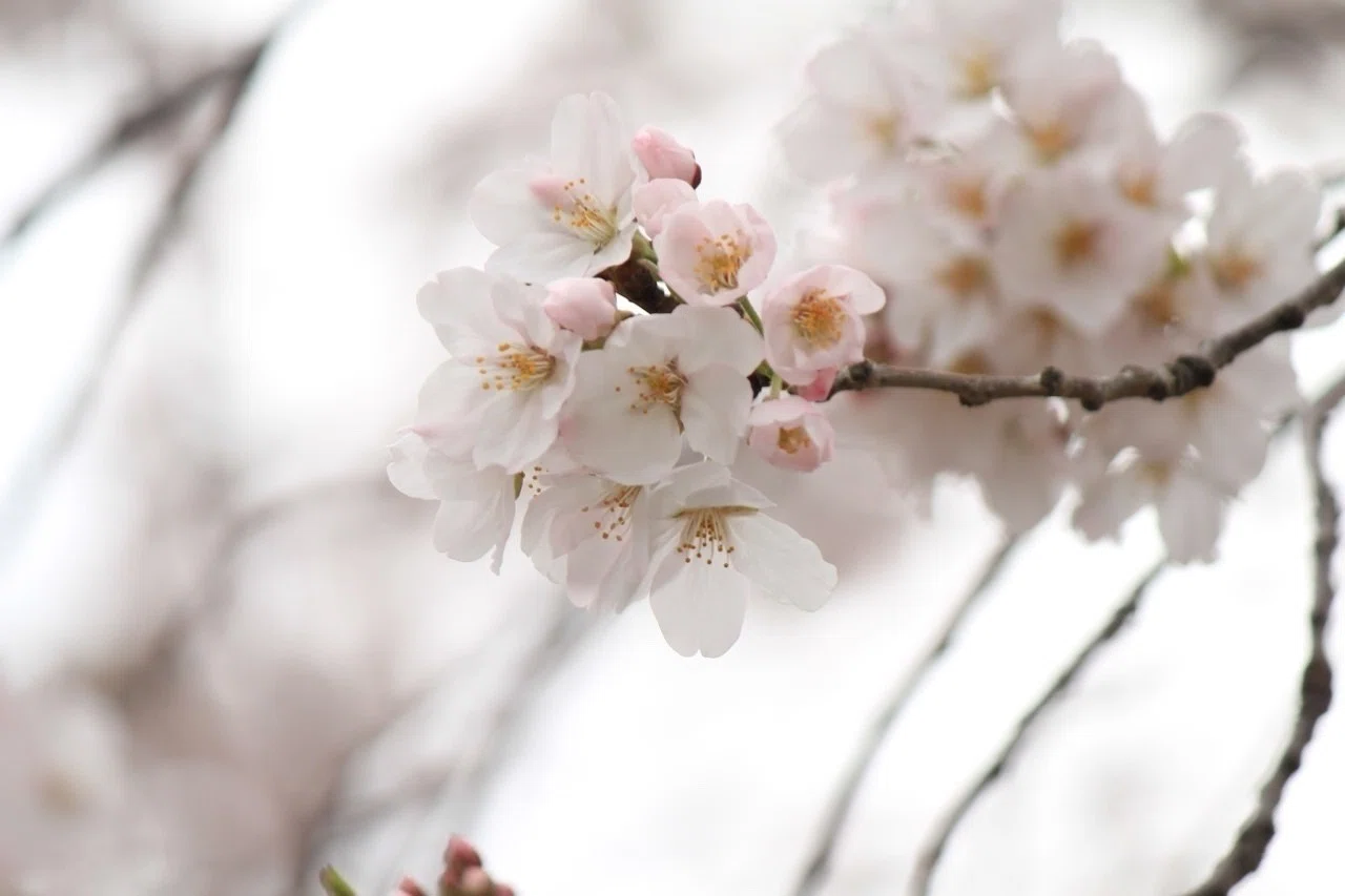 さとし｜note