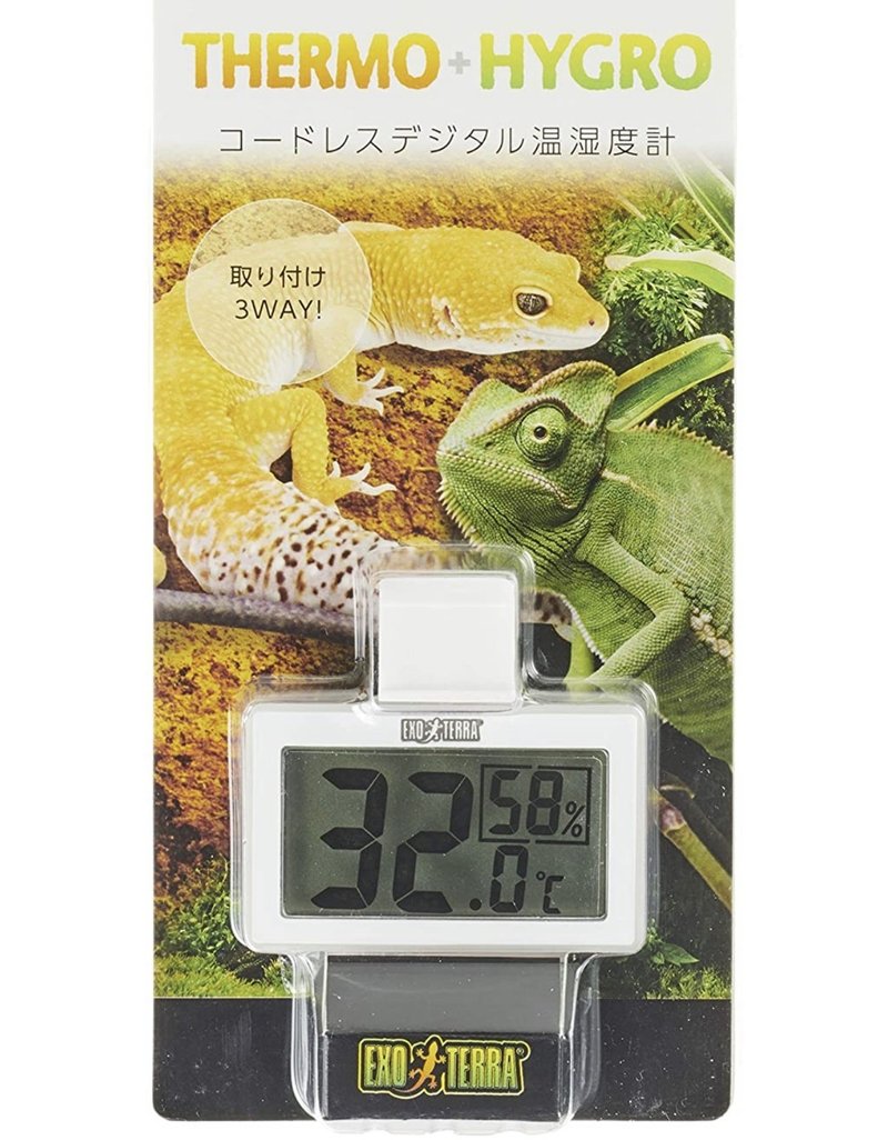ニシアフリカトカゲモドキ ファットテールゲッコー の飼育方法 亀山さん Note ニシアフリカトカゲモドキ ファットテールゲッコー の飼育方法 亀山さん Note
