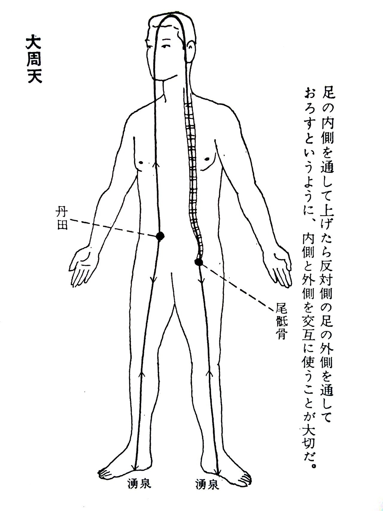 限定製作 霊能修行 小周天 大周天 さらに分身を作る チャンピオン