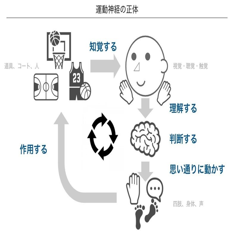 年齢別 小学校バスケで教えてあげたいこと Akish Note