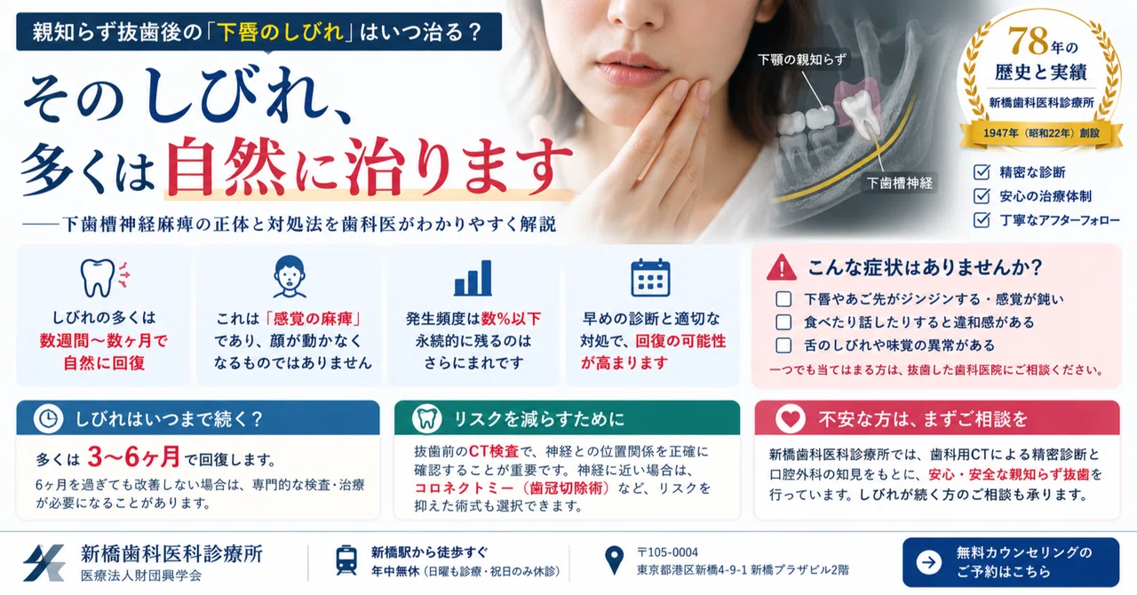 【裁断済】歯科におけるしびれと痛みの臨床 : 歯科治療による神経損傷後の感覚神経 親知らず抜歯後の「下唇のしびれ」はいつ治る？下歯槽神経麻痺の正体と