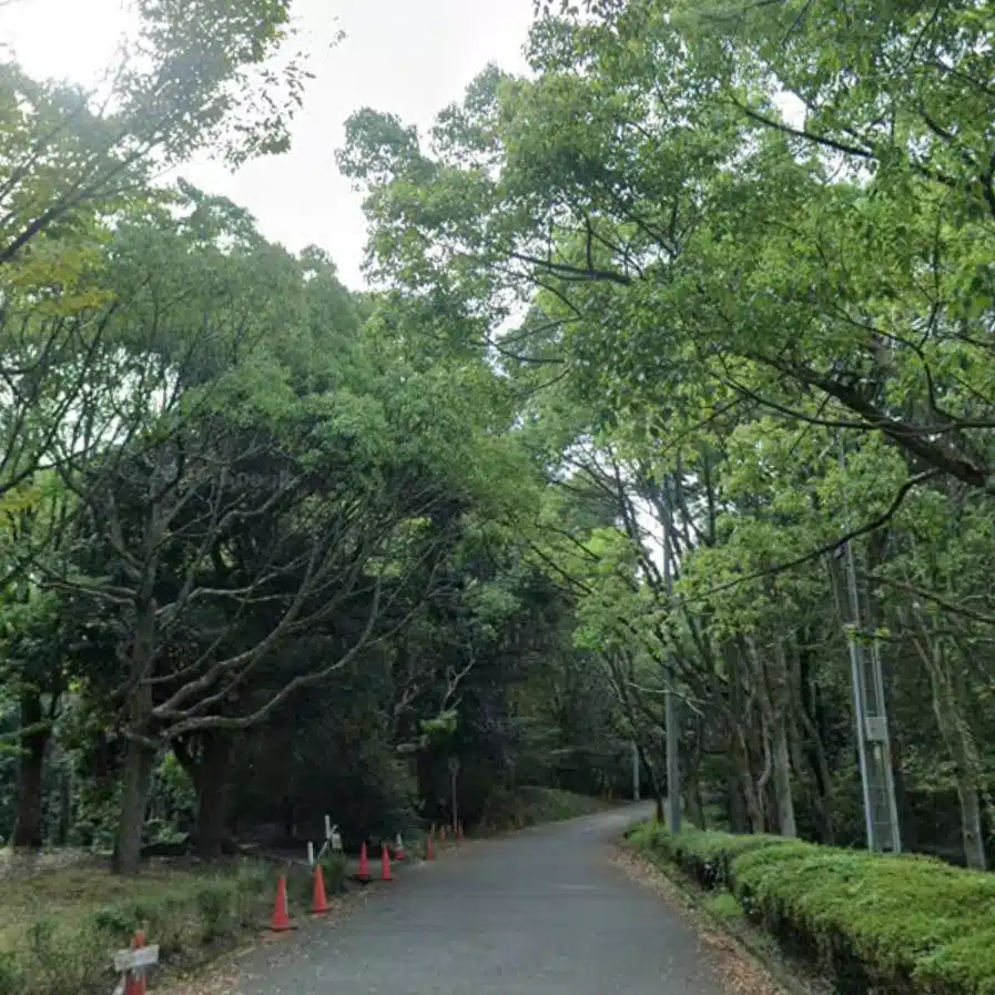 ぬてばり