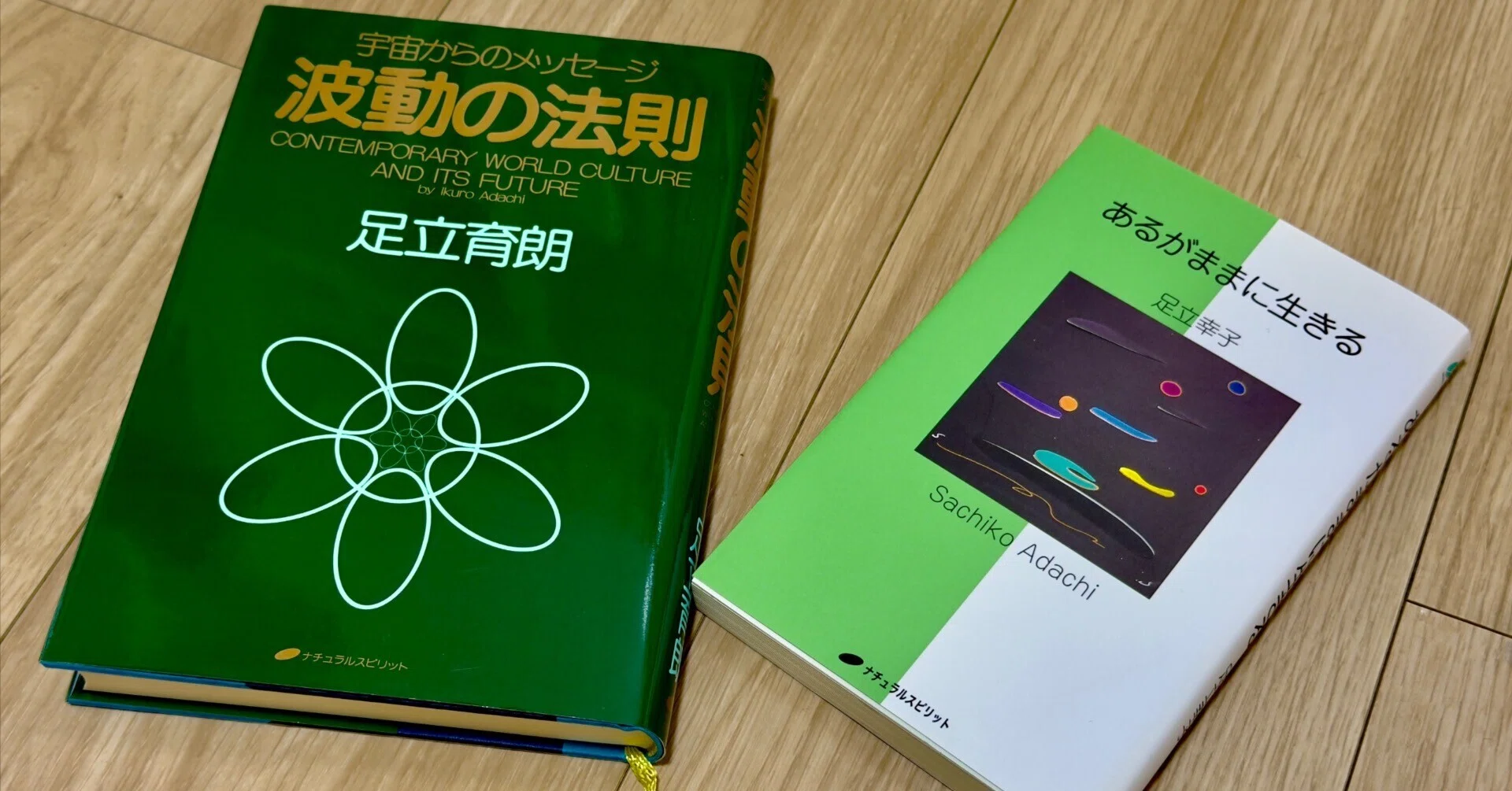 希少　洋書　足立幸子　足立育朗　波動　量子　スピリチュアル　精神世界 希少 洋書 足立幸子 足立育朗 波動 量子 スピリチュアル 精神世界