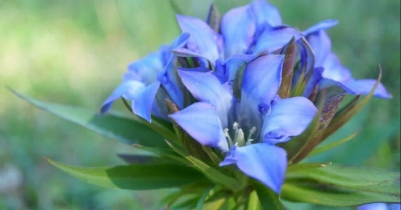 Early Autumn: A Time When Summer Fatigue Often Surfaces. Caring for ...