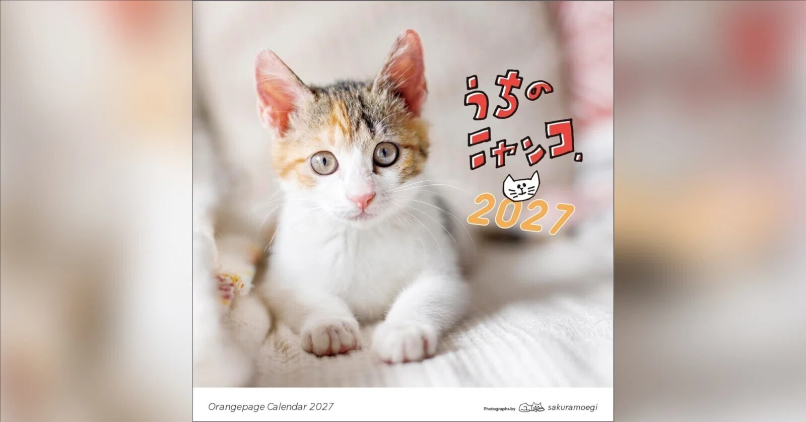 3年連続、表紙は子猫。「うちのニャンコ。」2027年版できました🐈｜猫