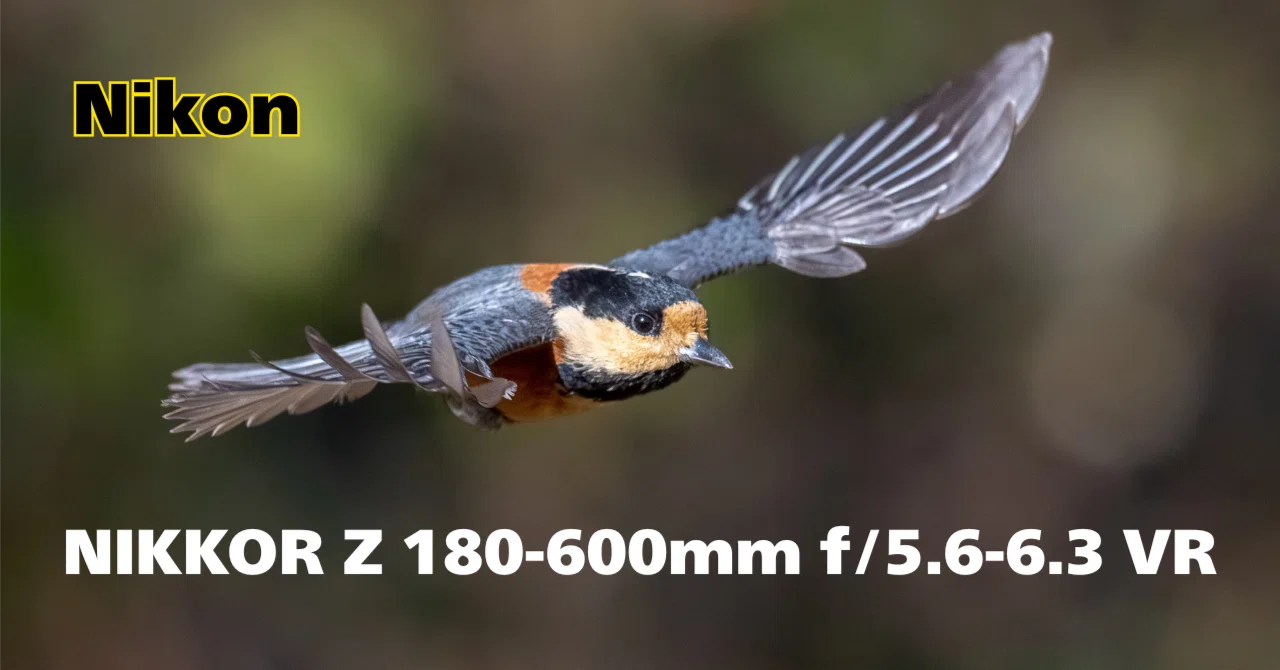 もっとみんなにNIKKOR Z 180-600mm f/5.6-6.3 VRの凄さを知ってもらい