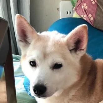 こう