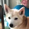 こう