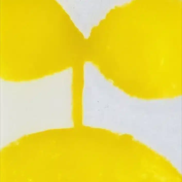 shiyoko