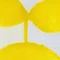 shiyoko