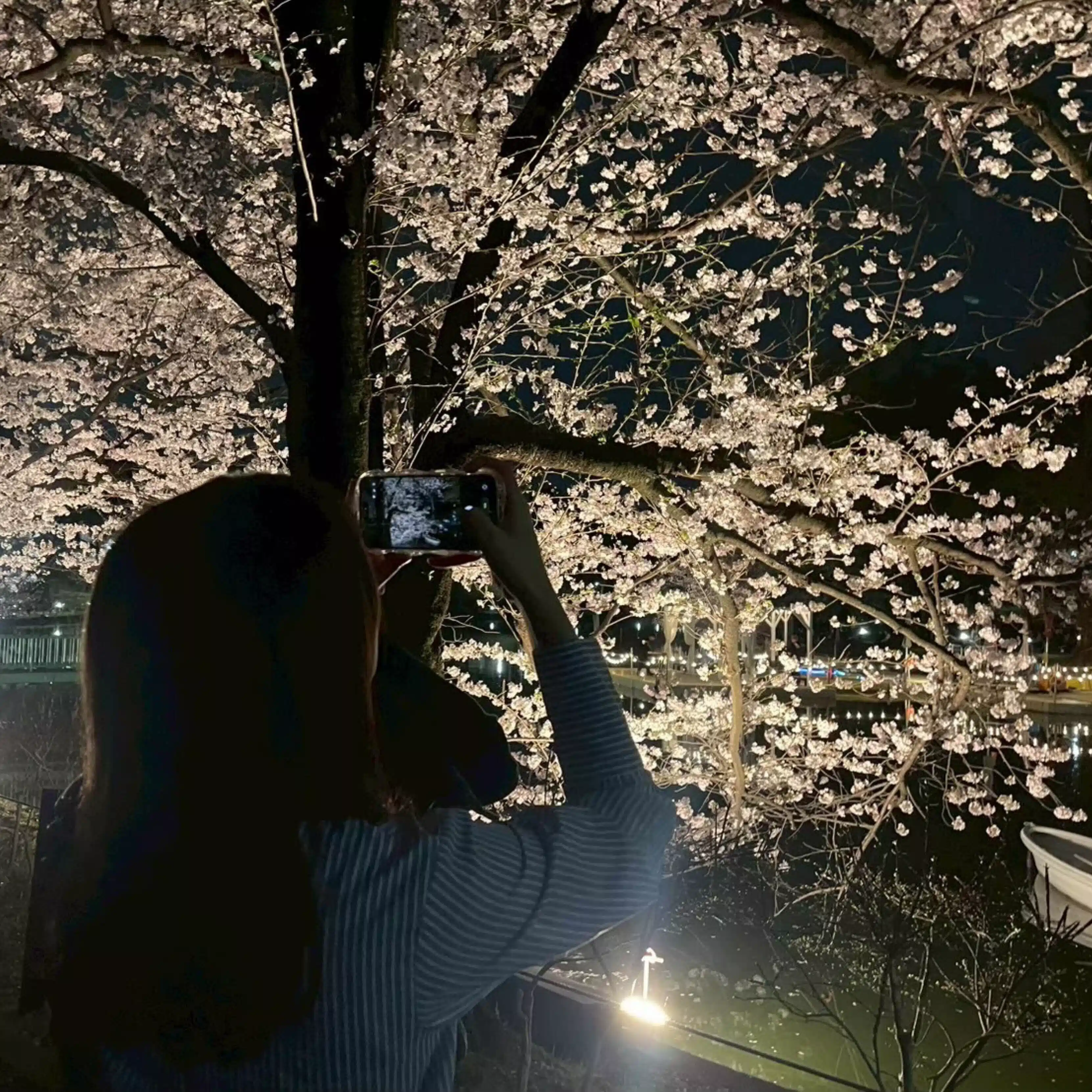 hono_archive 💐🐿