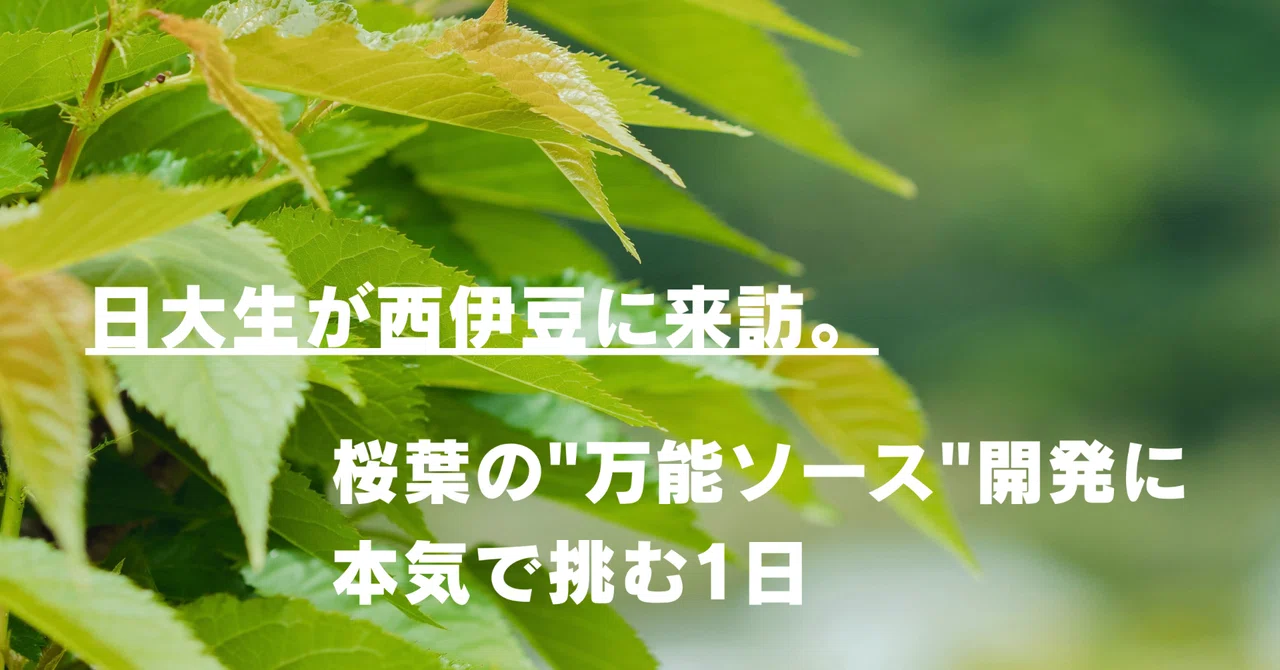 Nihon University students revisit Nishi-Izu. A day of serious ...
