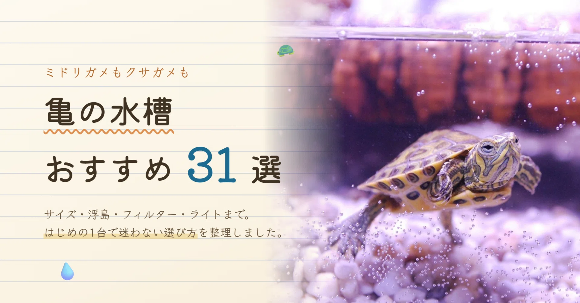亀の水槽おすすめ31選｜サイズの選び方と浮島・フィルター・ライトも
