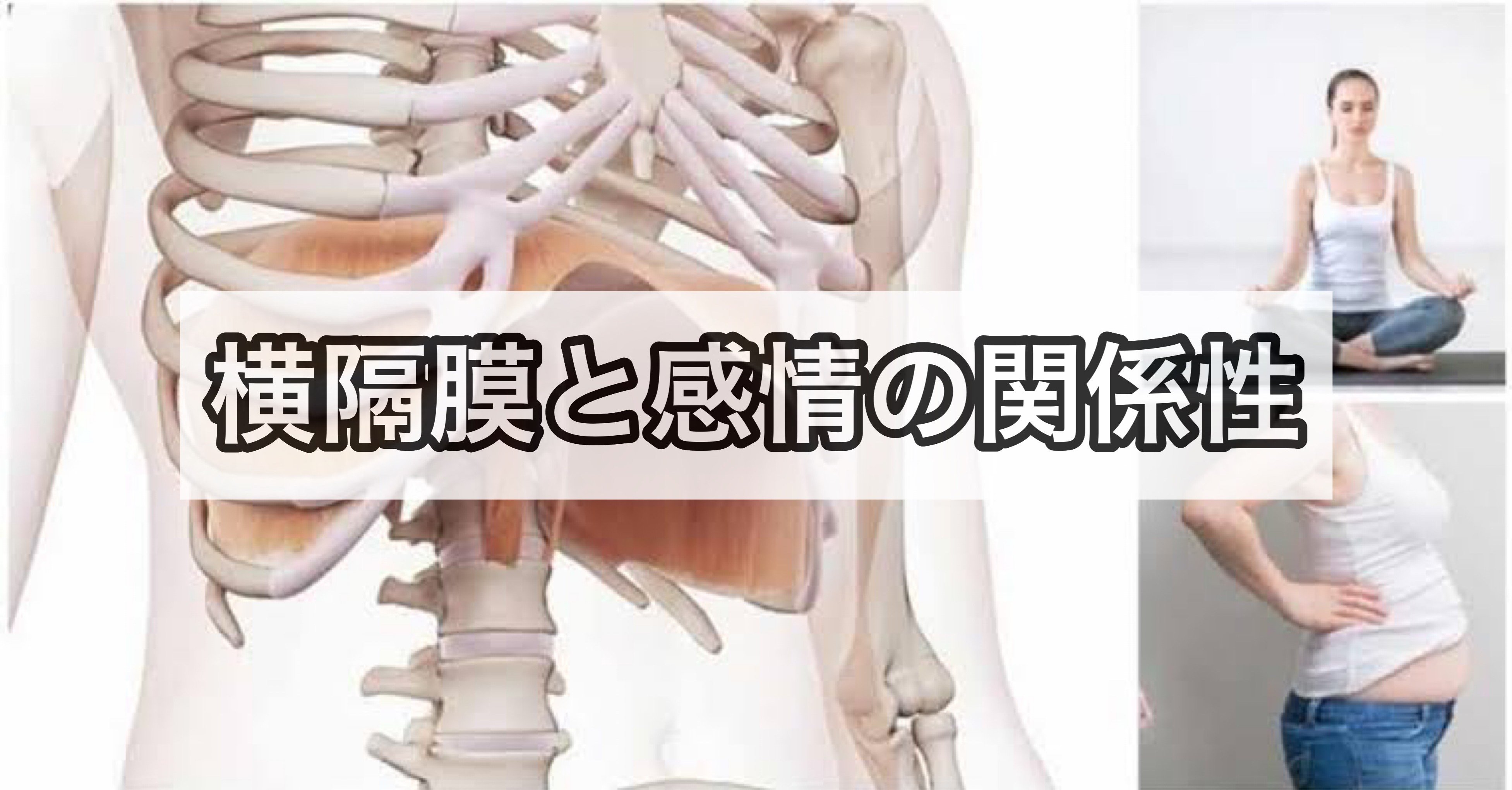 疲れやすい人は横隔膜が原因 阿部 陸 筋トレの価値を伝えるトレーナー Note 疲れやすい人は横隔膜が原因 阿部 陸 筋トレの価値を伝えるトレーナー Note