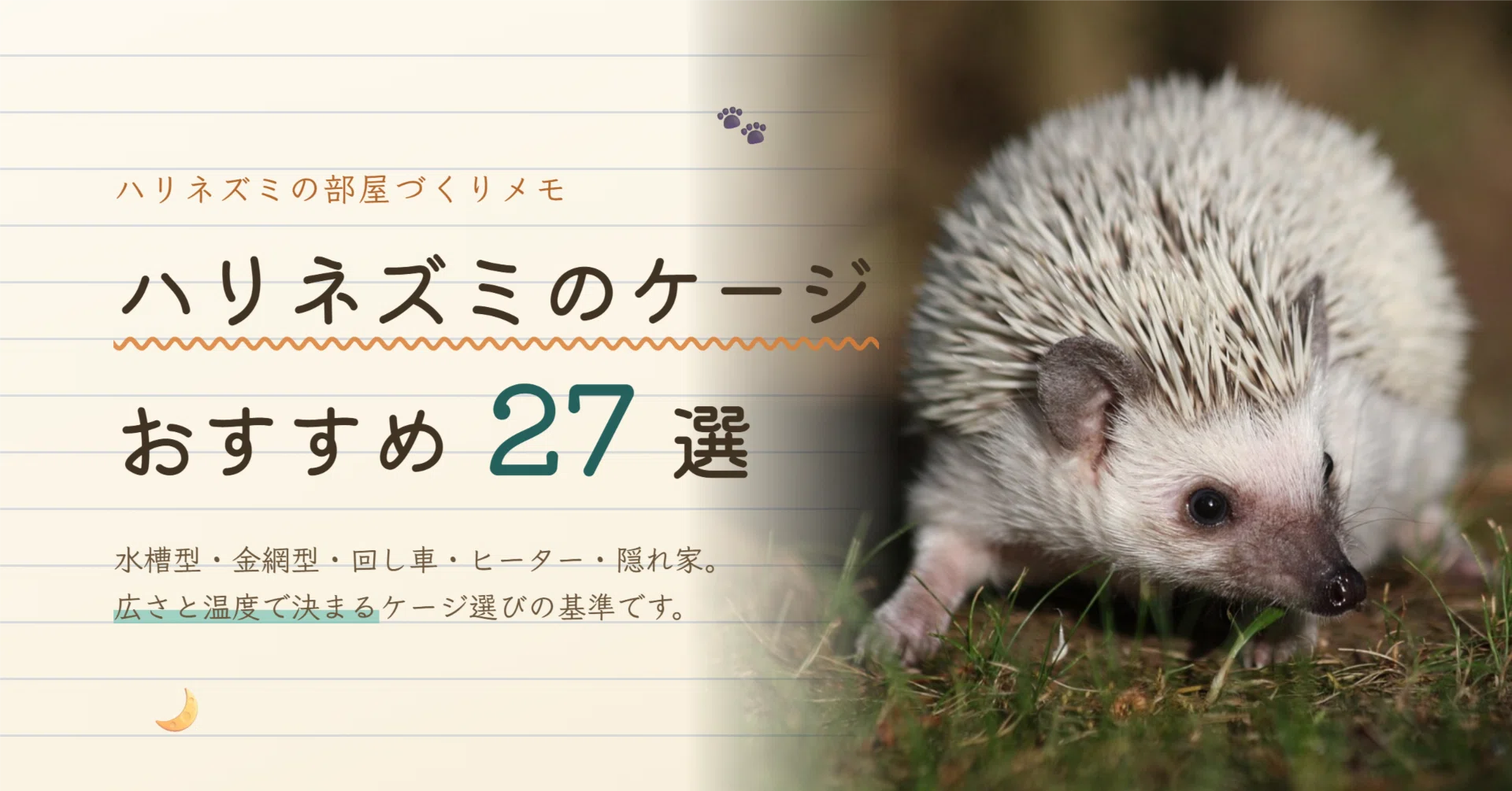 ハリネズミのケージおすすめ27選｜サイズの選び方と回し車・ヒーター