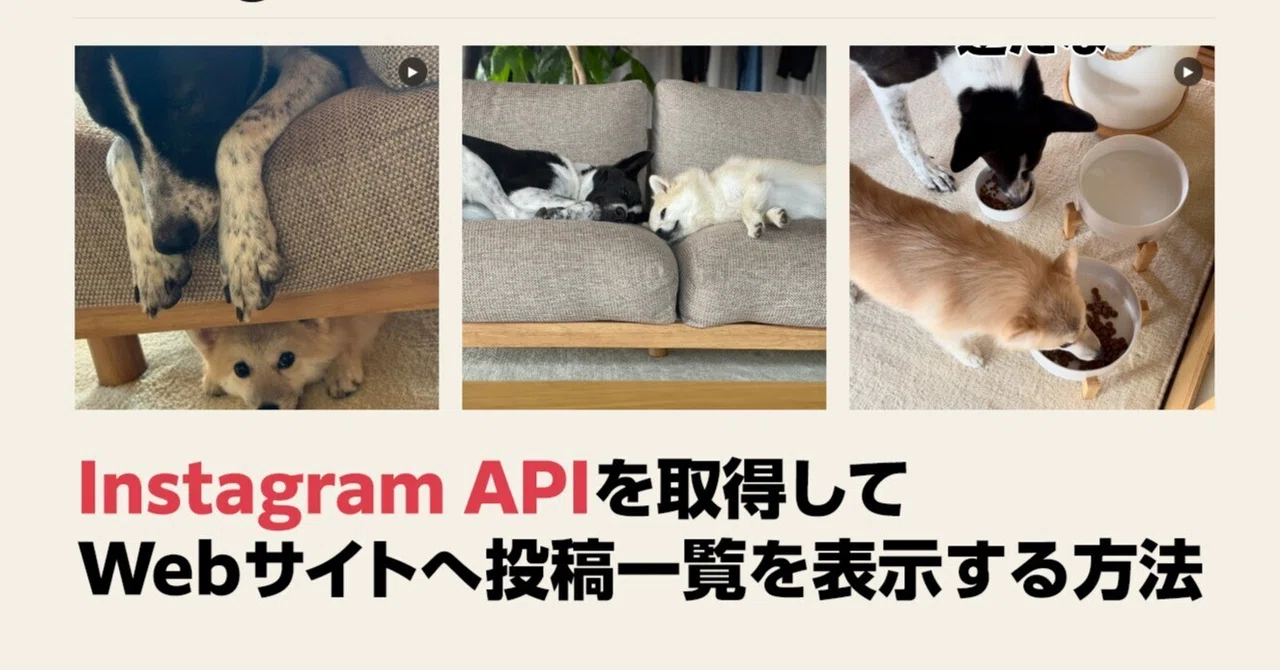 Instagram APIを取得してWebサイトへ投稿一覧を表示する方法【2026年版 / Instagram Login対応】