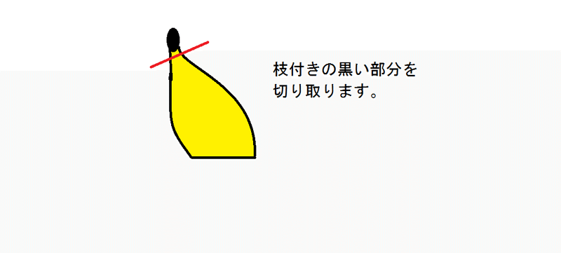 バナナでイルカ バナナセーキ 香草のエストラゴン Note