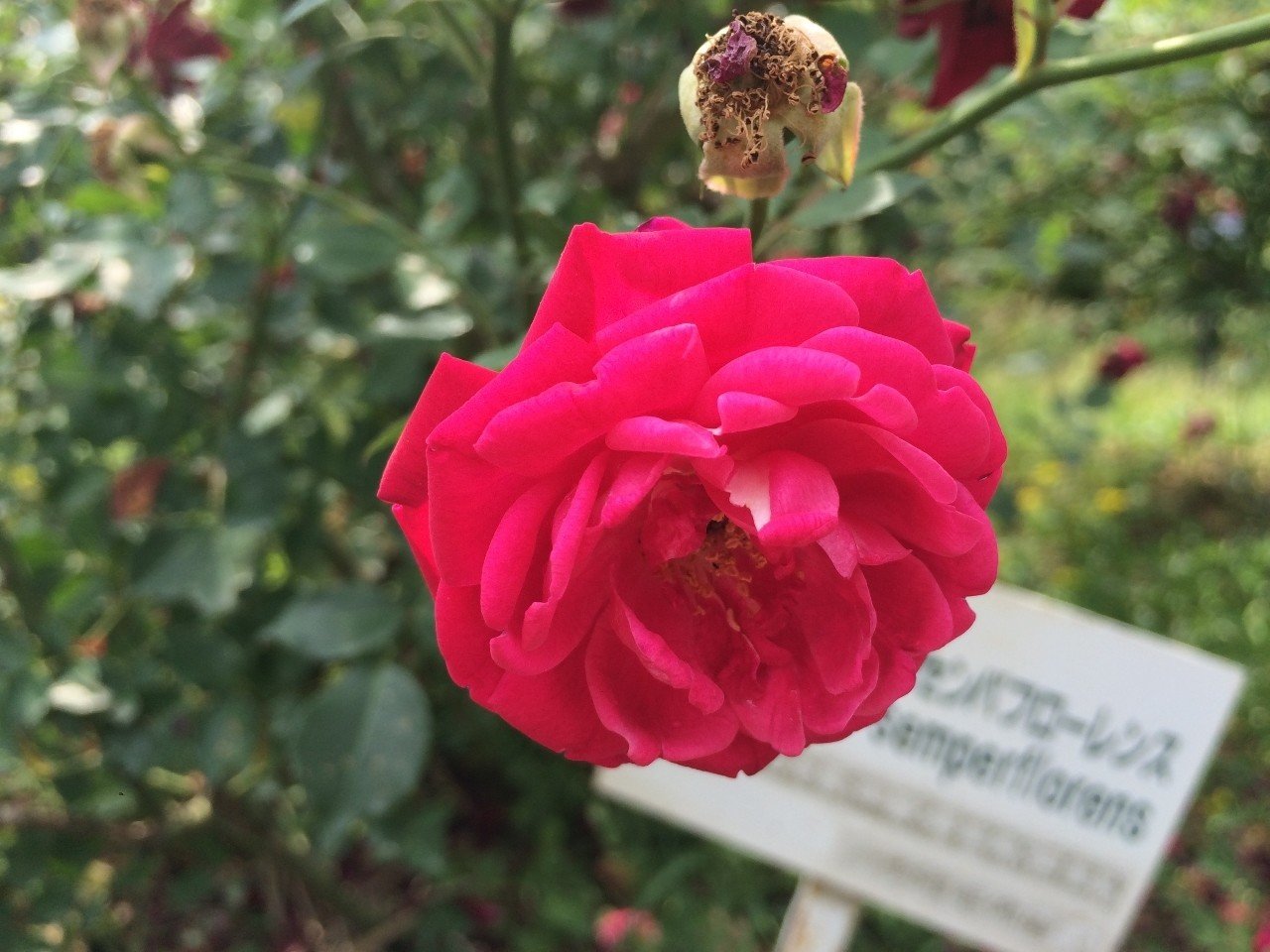 68f3db340537a38f29d5564ddf834e