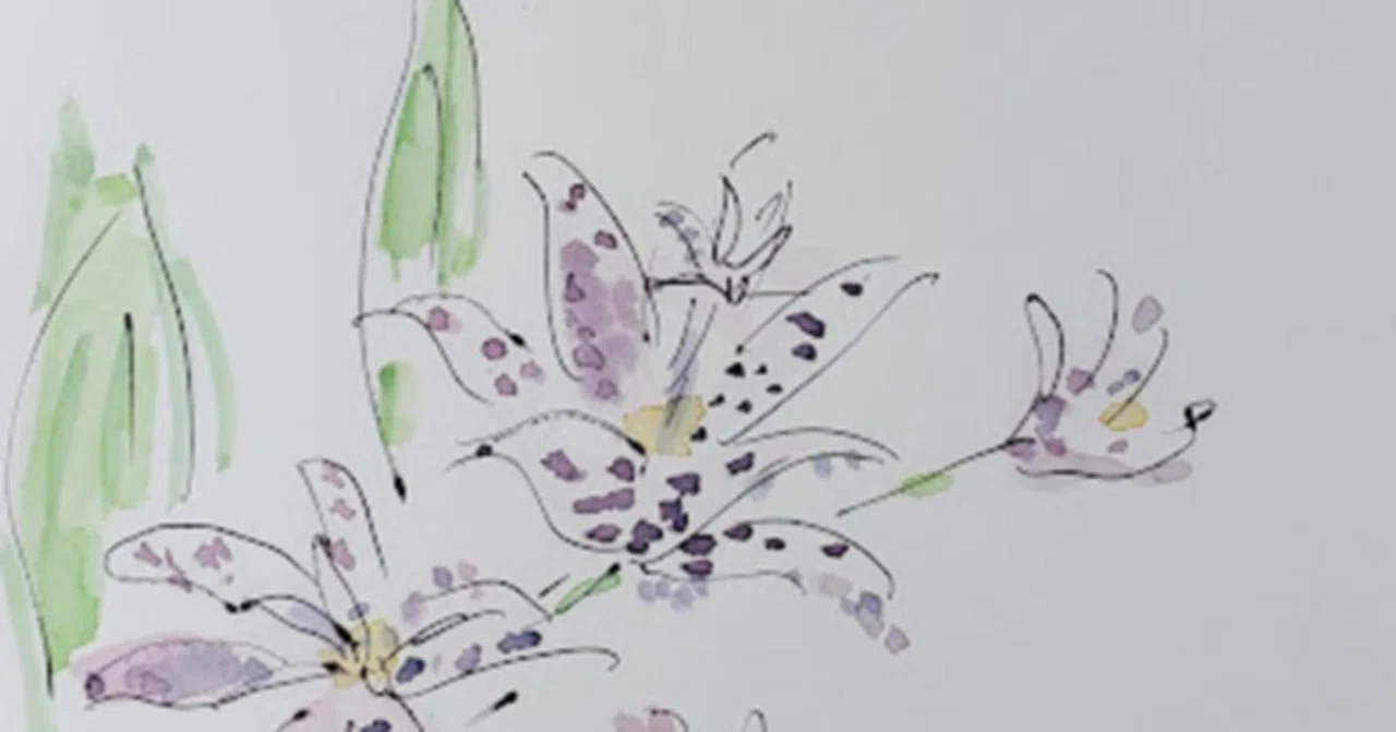 9月14日】お花🌸ホトトギス（杜鵑草）🌸ボールペンと水彩で5分で描く