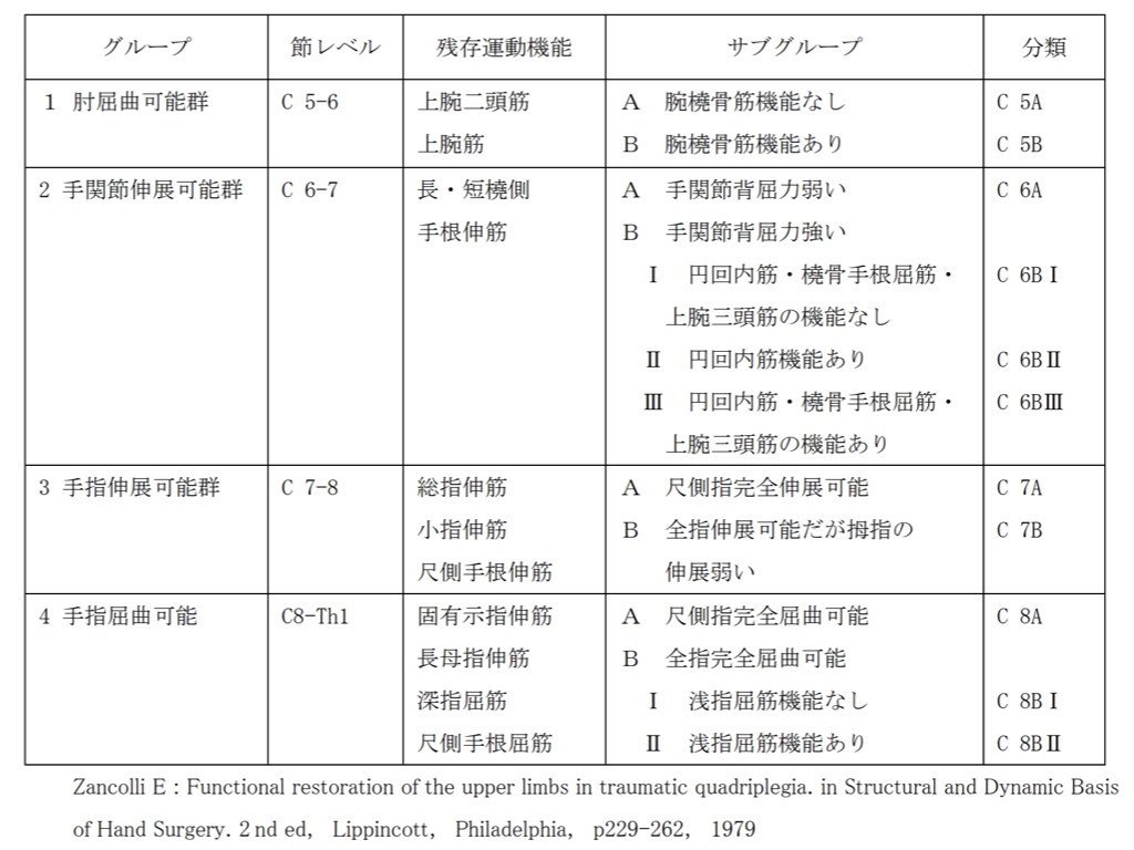 動画で学ぶ脊髄損傷のリハビリテーション[DVD-ROM付] | 書籍詳細