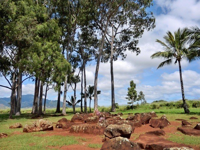 安産祈願 子宝祈願 本当に妊活のご利益があるハワイの伝説の聖地とは Yass Aloha Connector Note