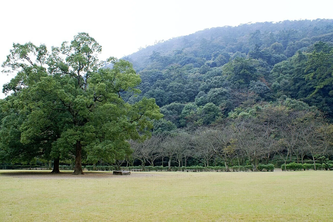 芝地に広がる大きな緑の木と、背後に森に覆われた山なみ。盆地をとりまく緑の風景が広がります。