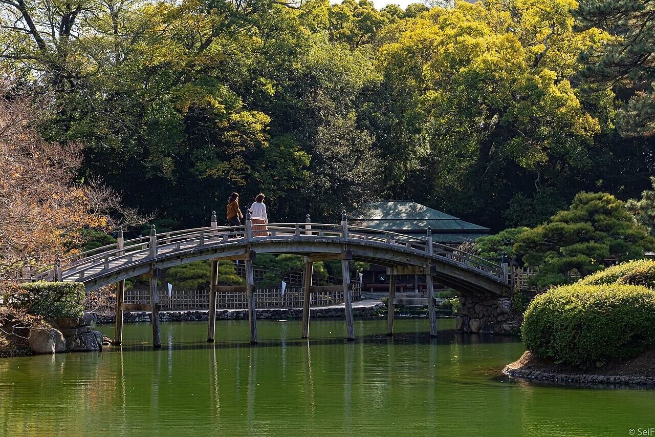 緑の池に架かる木造のアーチ橋を渡る二人。木々に囲まれた庭園の静けさが、季節の移ろいを感じさせます。