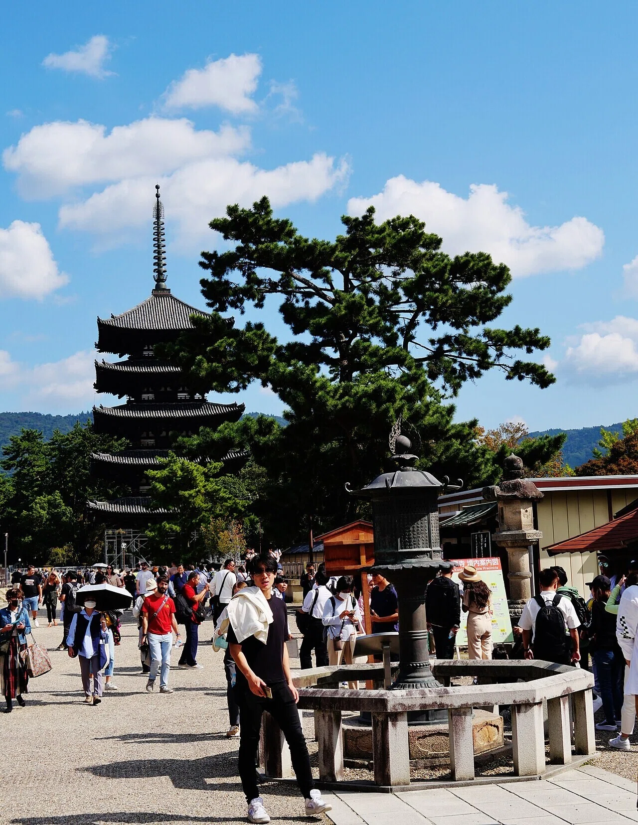 青空の下、松の木と石灯籠に添うように立つ五重塔と、多くの観光客の姿。奈良公園の賑わいが伝わります。