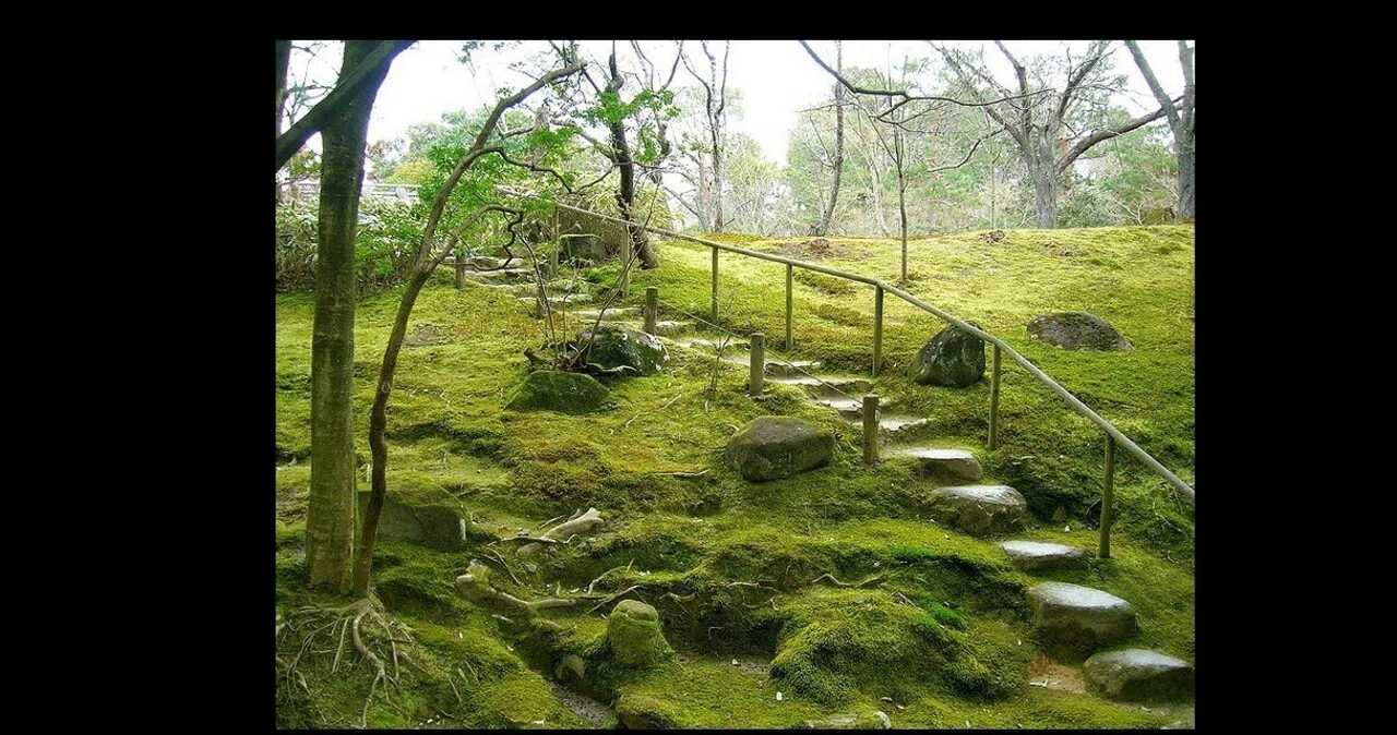 🦌 奈良天気 | 2026年9月8日(火) — くもり夜雨、盆地に湿り気