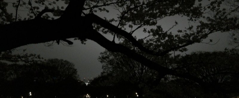 ネガティブな言葉を口にするべきではない 本当の理由 さんしち Note