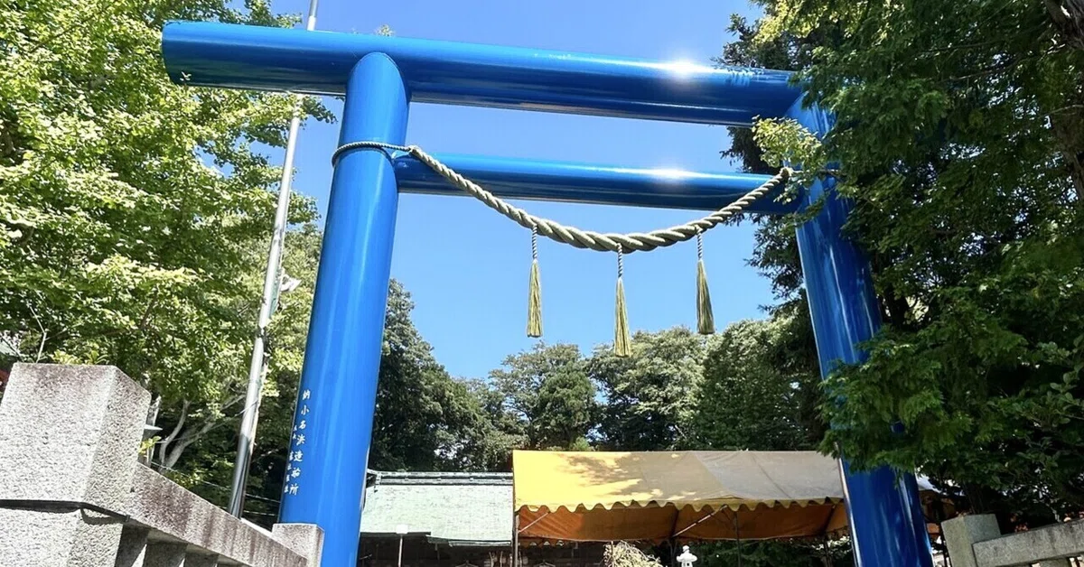 èŠåºãç»å